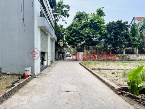 Urgent sale of 45m2 in Phuc Tho, Mai Lam, price only 65 million VND\/m2. Cars in the alley _0