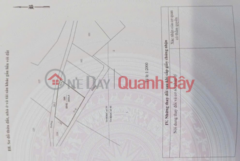 Land for sale in Son Hai 2 Hamlet, Phuoc Dinh Commune, Thuan Nam District, Ninh Thuan Province. _0