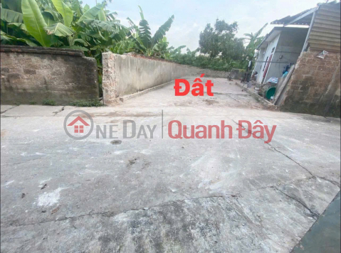 Beautiful land lot for sale 80m2 in Nam Vong Ngoai village, Vong Xuyen commune, Phuc Tho _0