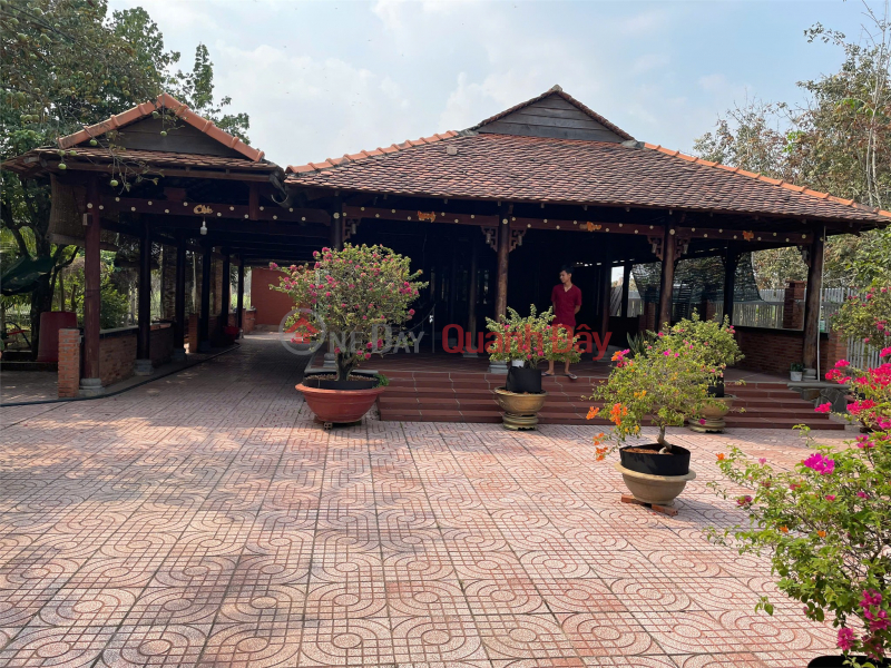 Property Search Vietnam | OneDay | Residential, Sales Listings PRIME LAND – GOOD PRICE – OWNER SELLING LAND in Loc Trung Hamlet, Hung Thuan Commune, Trang Bang District, Tay Ninh Province