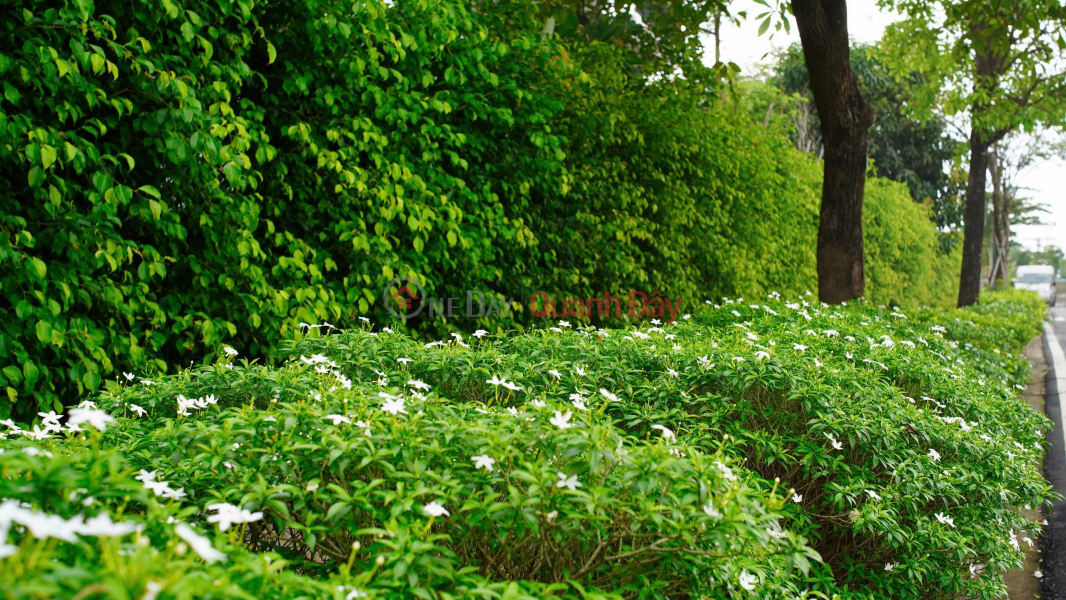 , Please Select | Residential | Sales Listings đ 900 Million