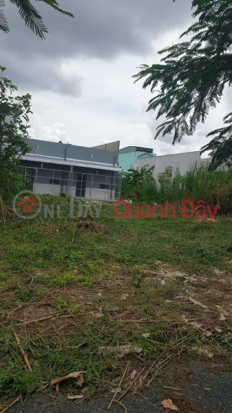 OWNER Sells Plot Beautiful Location In Cat Tuong Area, Ward 3, Vi Thanh City, Hau Giang Sales Listings