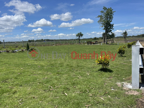 Garden land for sale on Provincial Highway 7, 600m to National Highway 22, 540m2, price slightly 900 million _0