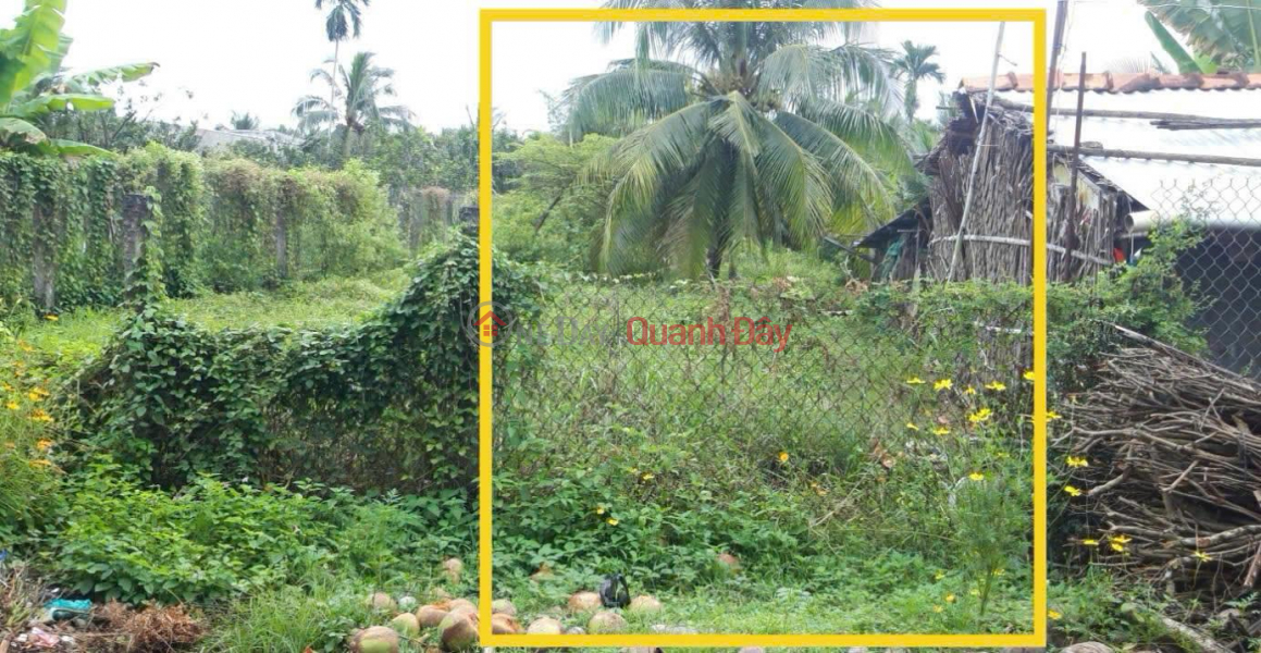 OWNER Needs To Quickly Sell Land Fronting Asphalt Road In Dao Thanh Commune, My Tho City, Tien Giang | Vietnam, Sales | đ 1.7 Billion