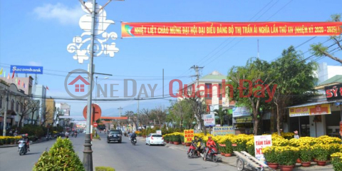 Land for sale in the center of Ai Nghia town _0