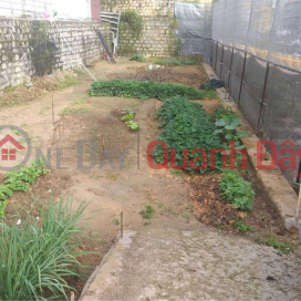 OWNER NEEDS TO SELL LOT OF LAND IN THE CENTER OF THE CITY At Nguyen Trung Truc, Ward 3, City. Da Lat, Lam Dong _0