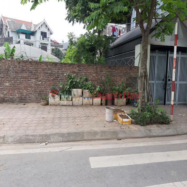 Bán đất đấu giá xã Thuận An, Hà Nội. Lô góc 115m2 đường 12m vỉa hè. Lh 0989894845 Niêm yết bán