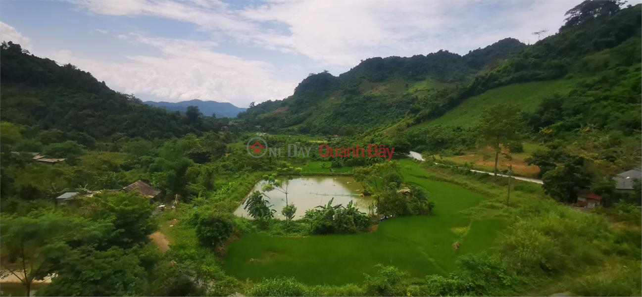 BEAUTIFUL LAND - GOOD PRICE - OWNER FOR SALE VAC Complex Farm In Lao Cai Sales Listings