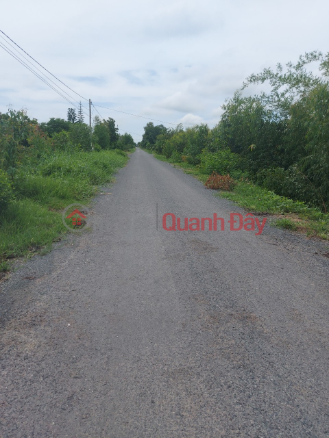 BEAUTIFUL LAND - GOOD PRICE - Quick Sale Of Land Lot Of The Owner In Tan Thanh, Long An _0