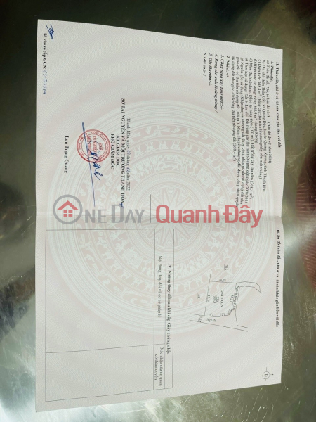 SUPER BEAUTIFUL LAND - INVESTMENT PRICE - For Sale Plot of Land on Thanh Nen Street - Quang Duc Commune, Quang Xuong, Thanh Hoa Sales Listings