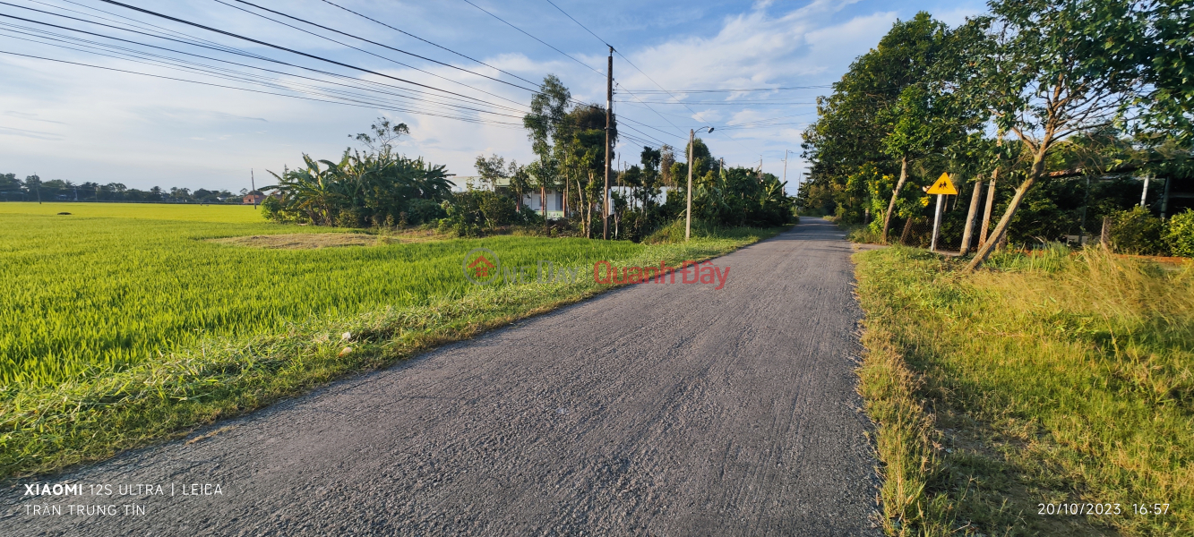 Selling a plot of rice land for a warehouse near National Highway 50B for 5 billion Vietnam Sales | đ 5 Billion