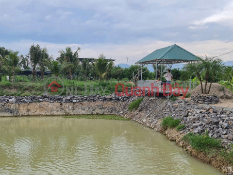 Bán farm Diên Thọ - Khánh Hoà 1.7ha giá 480k/m2. Cây ăn trái đang khai thác _0