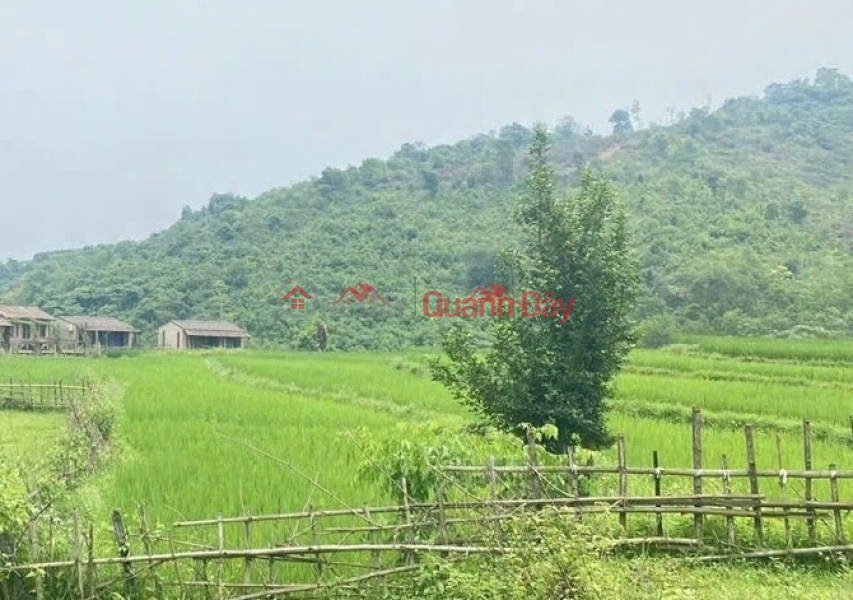 SIÊU PHẨM 460M TẠI LƯƠNG SƠN-HÒA BÌNH | Việt Nam | Bán | đ 10 triệu
