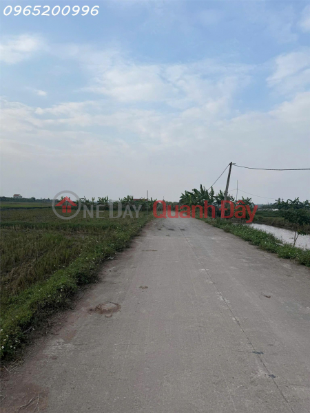 Bán lô đất siêu đẹp tại xã Khánh Hội, Ninh Bình, giá cực chất 3,8 tỷ, DT 148m2, Việt Nam | Bán | đ 3,8 tỷ