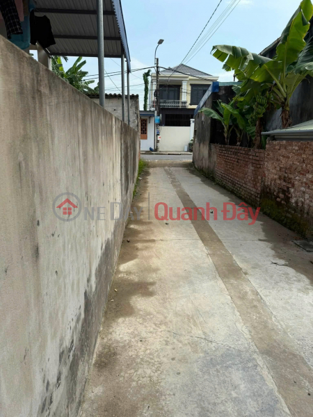 Land for sale by owner - 55m2 plot in Luong Qui - Wide frontage, near An Duong and Trang Due Industrial Parks. | Vietnam, Sales | đ 1.29 Billion