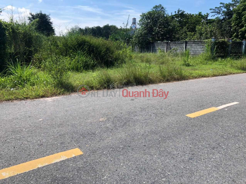 Property Search Vietnam | OneDay | | Sales Listings, Land in front of Kenh Ly 12m, area 500m2, private book, price 1.4 billion Nhuan Duc, Cu Chi