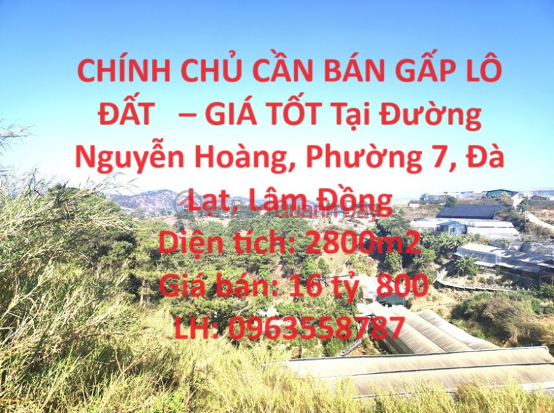 OWNER NEEDS TO SELL LAND LOT URGENTLY - GOOD PRICE At Nguyen Hoang Street, Ward 7, Da Lat, Lam Dong Sales Listings