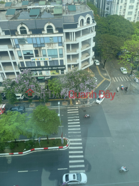 Property Search Vietnam | OneDay | Residential | Rental Listings Super hot house for rent brand new street front corner lot 24m, Tran Thai Tong, usable area 3000m2 including 10 floors