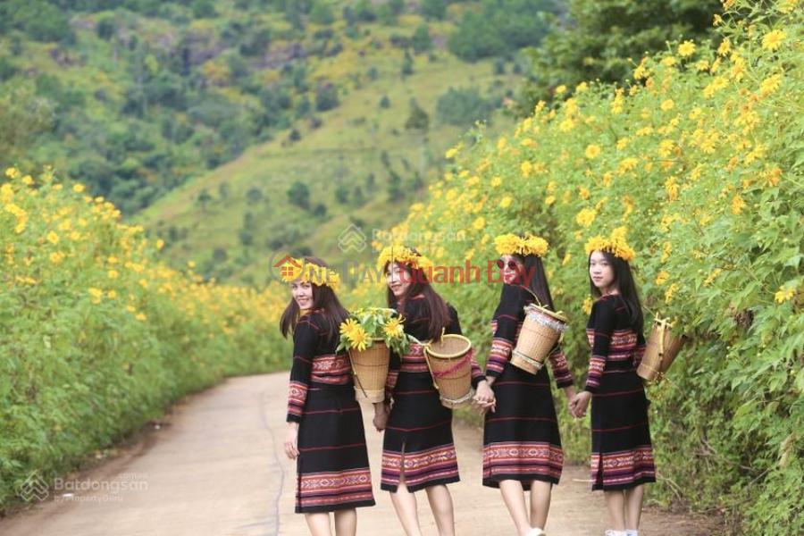 Property Search Vietnam | OneDay | Nhà ở | Niêm yết bán, CHÍNH CHỦ BÁN 1.211M2 ĐẤT SẴN SỔ KHU LỄ HỘI HOA DÃ QUỲ NÚI LỬA CHƯ ĐĂNG YA