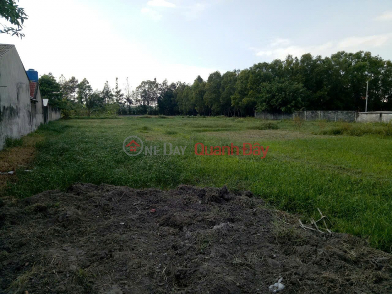 LAND LOT IN GOOD LOCATION - GOOD PRICE, NEED TO SELL QUICKLY 4 adjacent plots of land in Cu Chi district, HCMC Sales Listings