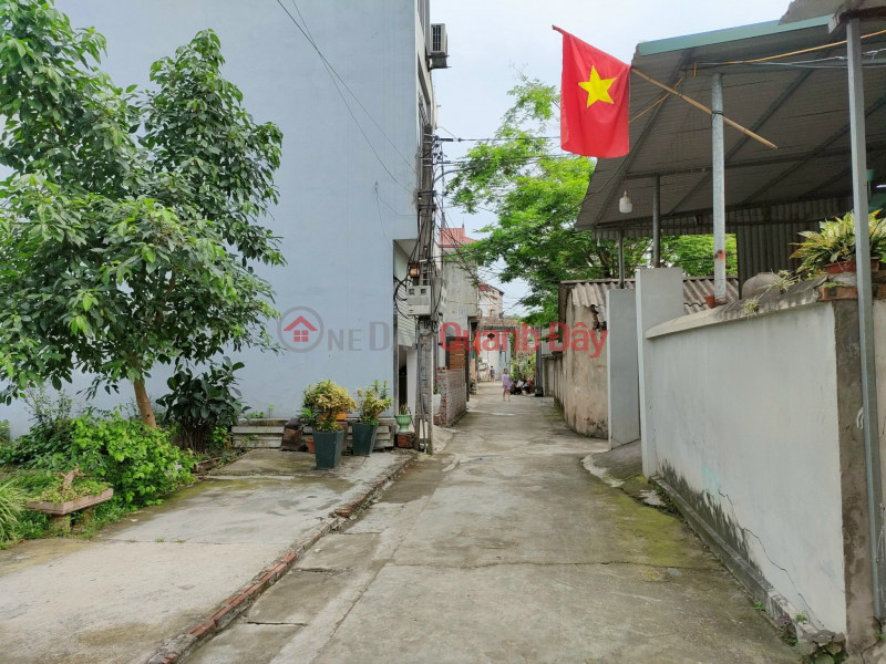 Property Search Vietnam | OneDay | Nhà ở Niêm yết bán, Chính Chủ Cần Bán 60.5m2 đất thôn Lương Quy