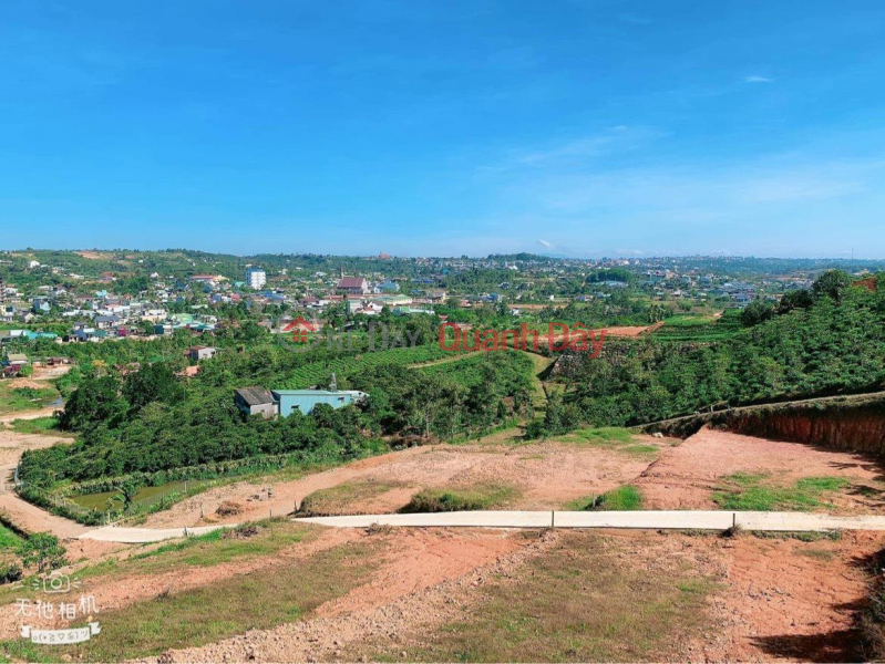 BEAUTIFUL LAND - GOOD PRICE - Land Lot For Sale Prime Location In Dai Lao Commune, Bao Loc City, Lam Dong, Vietnam Sales đ 1.5 Billion