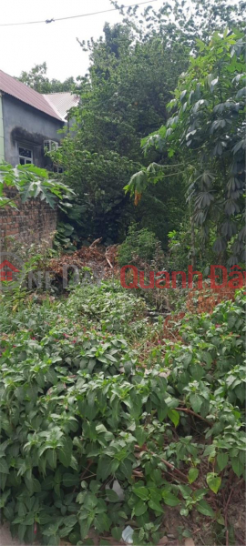 EXTREMELY RARE: a single lot right at Buffalo Bridge, Ba Hang Ward, Pho Yen City, nearly 200m Ful residential land right on 261 Kinh Street Sales Listings