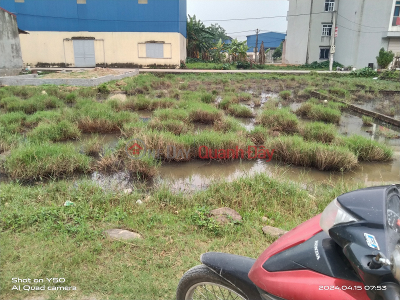 Urgent sale of subdivided land lot Auction area C Ngoc Liep - Quoc Oai 62m2 mt 5.5m ssgd Vietnam | Sales | đ 2 Billion