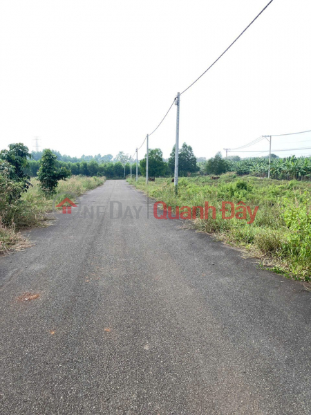 BEAUTIFUL LAND - GOOD PRICE - Urgently Need to Sell Plot of Land in Dau Day Commune, Dong Nai | Vietnam | Sales, đ 3.25 Billion