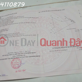 6HA CÓ CAO SU TRỒNG SẴN GIÁ 2 TỶ (843-2631936039)_0