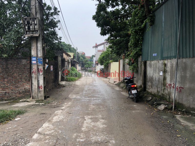 Property Search Vietnam | OneDay | Residential | Sales Listings | 48m of inter-commune road from Phung Chau commune to Dai Thanh Quoc Oai, Hanoi, two beautiful frontages, comfortable for business