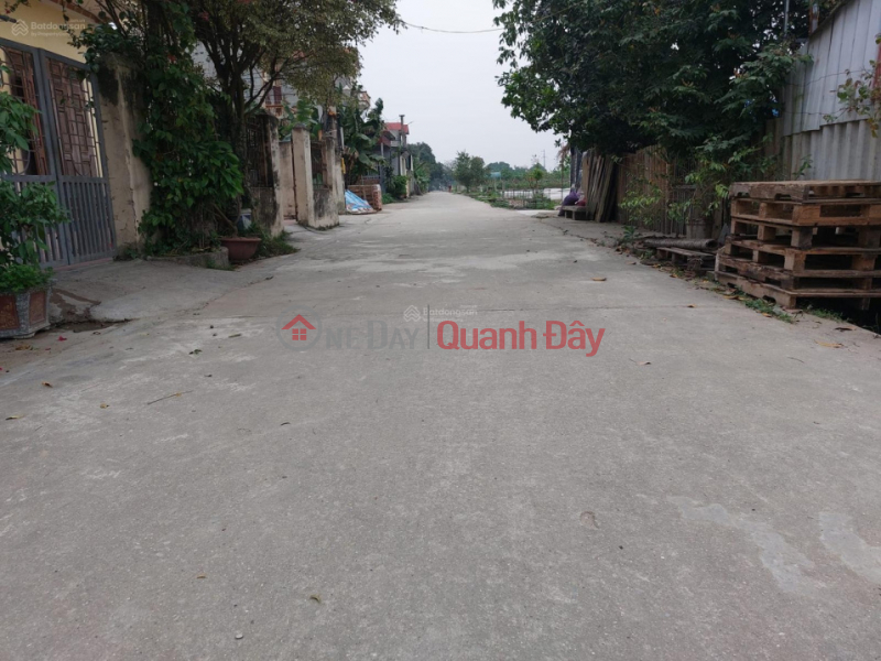 Quick sale of 94m of land Van Noi Dong Anh next to Vo Nguyen Giap street with cheap 25m road surface Sales Listings