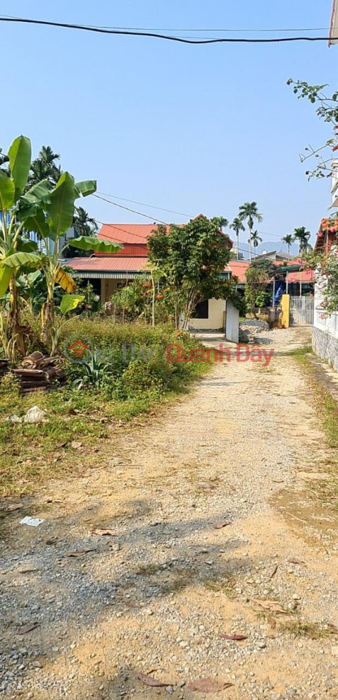 GENERAL FOR SALE QUICKLY Beautiful Land Lot Great Location Lac Thuy, Hoa Binh _0