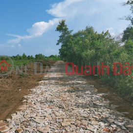 Selling agricultural land in Pleiku - Gia Lai to cut losses _0