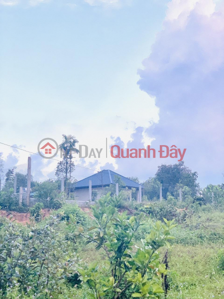 BEAUTIFUL LAND - GOOD PRICE - For Sale Land Lot 2 Fronts Prime Location At Luu Vinh Son- Thach Ha- Ha Tinh, Vietnam Sales, đ 3.2 Billion