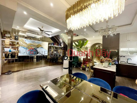 ViP Bau Cat - Tan Binh - LUXURY EUROPEAN VILLA FOR SALE - 12M STREET - FREE LUXURY FURNITURE _0