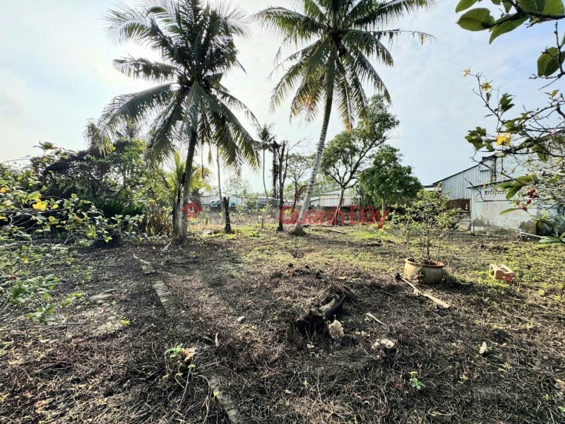 đ 20 Billion | PRIME LAND - PROFITABLE INVESTMENT - Owner Selling Land Plot at Dinh Tien Hoang Street, Tan Hanh Ward, Vinh Long