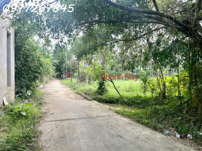 Property Search Vietnam | OneDay | Residential | Sales Listings | Rare opportunity - Land for sale in Hoi An, area 500m2, selling price 45 million VND\\/m2