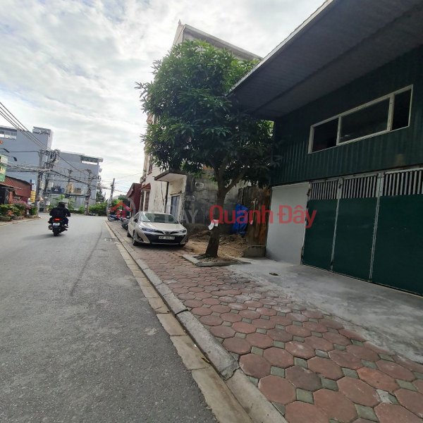 Property Search Vietnam | OneDay | Residential Sales Listings 123m2 land Auction area 31ha, Trau Quy, Gia Lam, Hanoi. Wide frontage, 15m road.