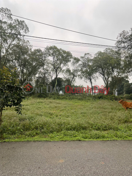 đ 1.22 Billion, OWNER Needs to Sell 2 Beautiful Plots of Land on Giang Vien Linh Street and Tien Dien Town, Nghi Xuan District, Ha Tinh.