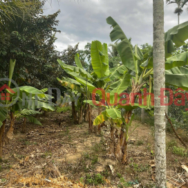 LAND FOR SALE IN DIEN TOAN COMMUNE, DIEN KHANH DISTRICT, KHANH HOA PROVINCE _0