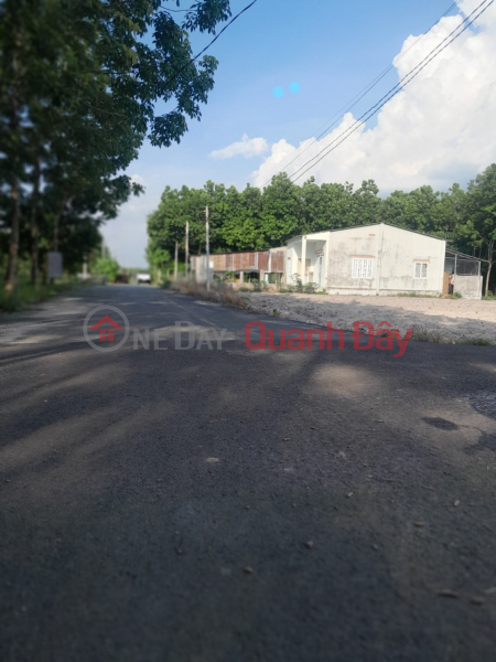 Property Search Vietnam | OneDay | , Sales Listings Chon Thanh Binh Phuoc business land, cheap price 490 million/plot