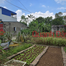 Owner sells land in Minh Tri, Soc Son, 99.5m2, frontage 4.06m, Southeast direction, car-avoiding road _0