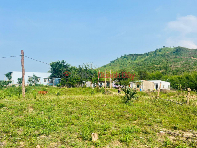 Property Search Vietnam | OneDay | Residential Sales Listings | OWNERS FOR SALE LAND IN Song Bung Village, Ninh Tay Commune, Ninh Hoa Town, Khanh Hoa