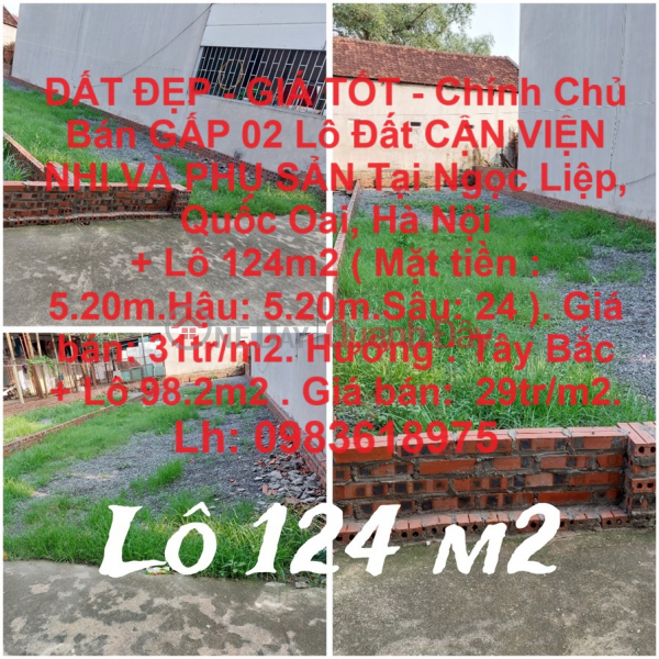 BEAUTIFUL LAND - GOOD PRICE - Owner Sells Urgently 02 Lots of Land Near Pediatrics and Obstetrics Hospital at Ngoc Liep, Quoc Oai, Hanoi Sales Listings