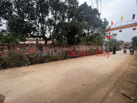 Land for sale at DT 414, Tan Linh Commune, Ba Vi, Hanoi, 10 million \/ m2, 300m2 corner lot with 2 street frontages _0