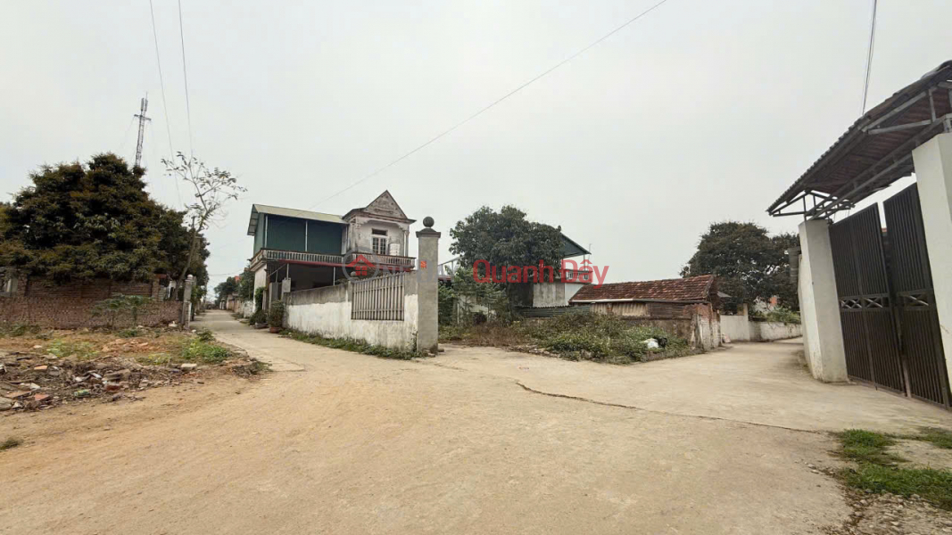 Chính chủ bán lô góc Tam Dương, Vĩnh Phúc 111m2 - Băng 2 ĐT306, Băng 2 ĐT309, đầu tư sinh lời hấp dẫn | Việt Nam Bán | đ 1,49 tỷ