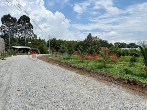 Bán đất tại đường Lò Rèn, Long Hòa, 915m2, giá tốt chỉ 6tr/m2, view đẹp _0