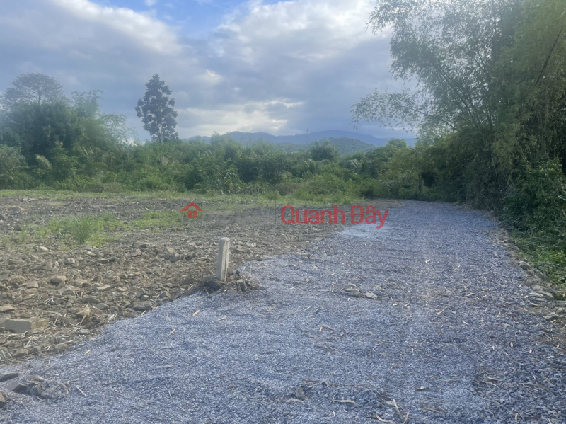 BEAUTIFUL LAND, FULL TERRITORY, FOR SALE CHEAP BY OWNERS FOR ONLY 640 MILLION\\/LOT IN DIEN LAM, DIEN KHANH Sales Listings