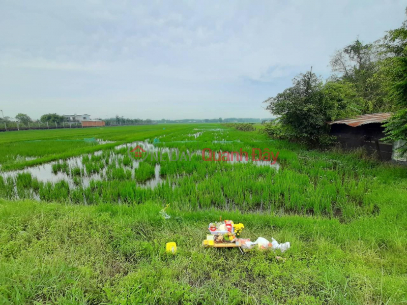 đ 13 Billion | GENUINE For Sale Beautiful Land Lot LOCATION In Cu Chi District, HCM City